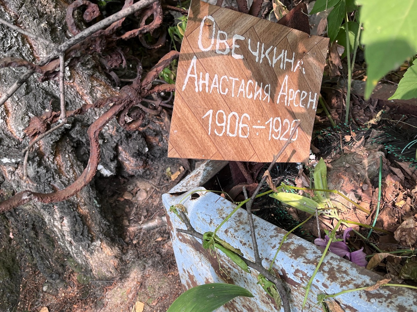 Овечкина Анастасия Арсентьевна