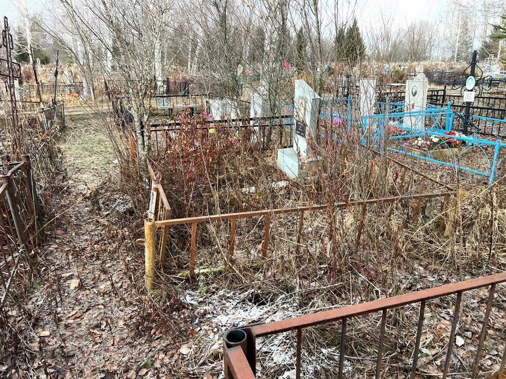 Дронкина Элия Ивановна