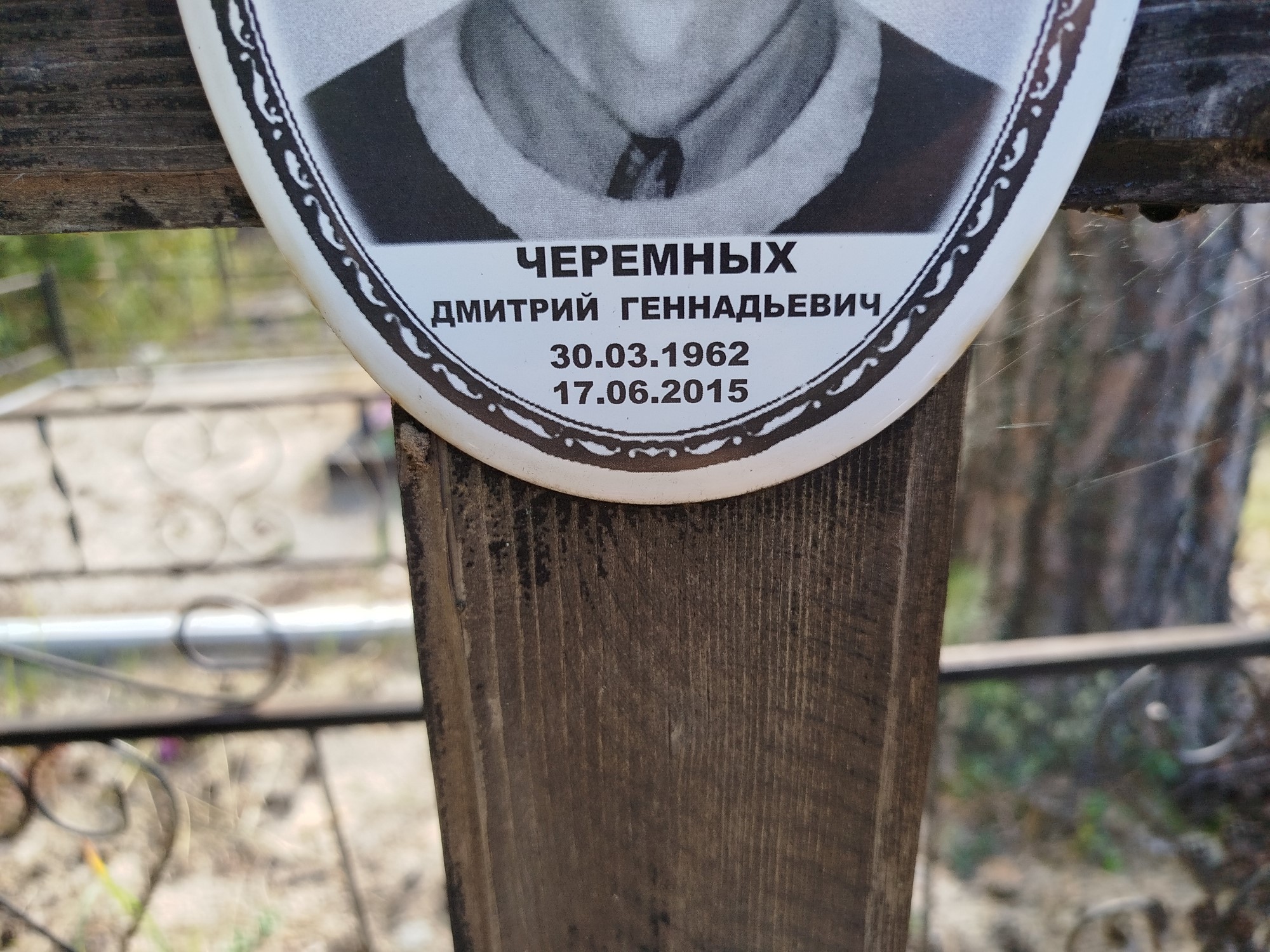 Черемных Дмитрий Геннадьевич