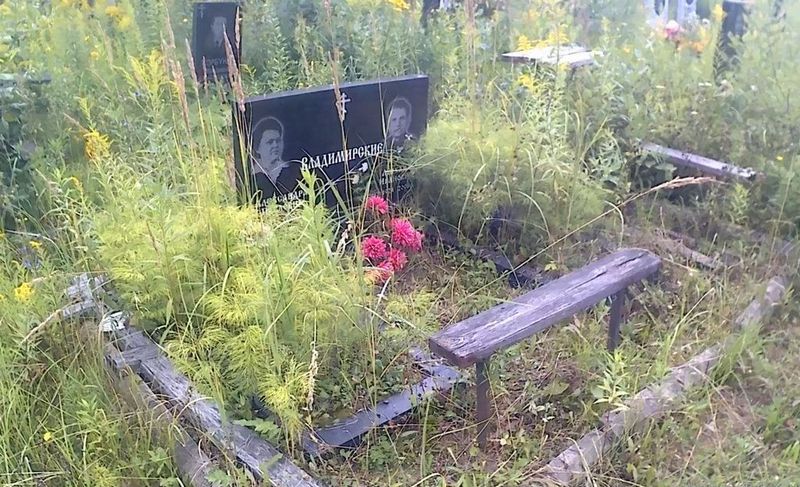 Владимирская Александра Павловна