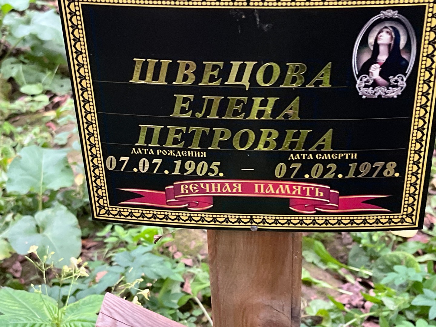 Швецова