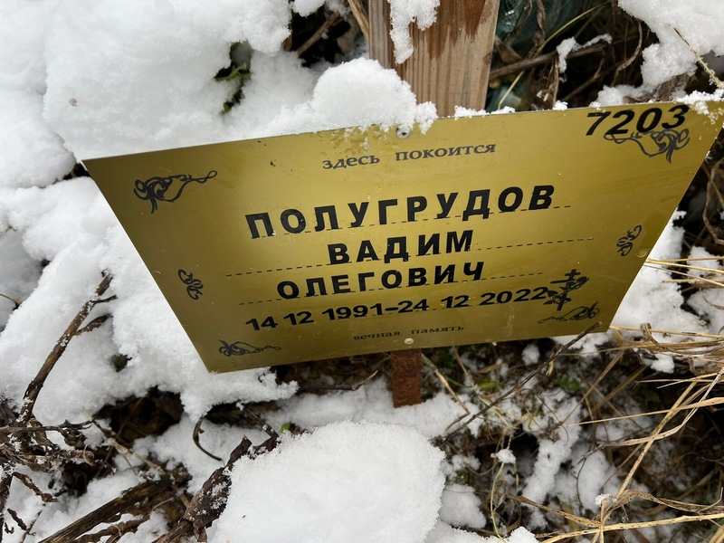 Полугрудов