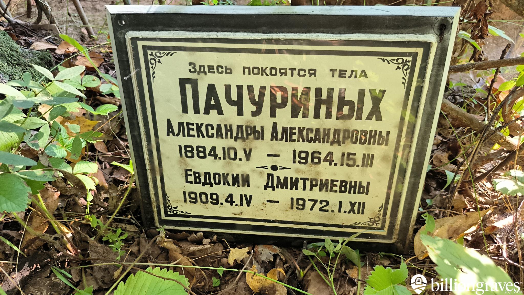 Пачурина Александра Александровна