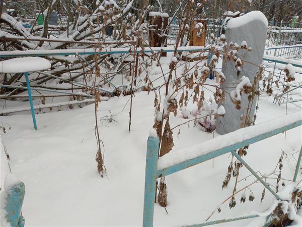 Новиков Илья Константинович