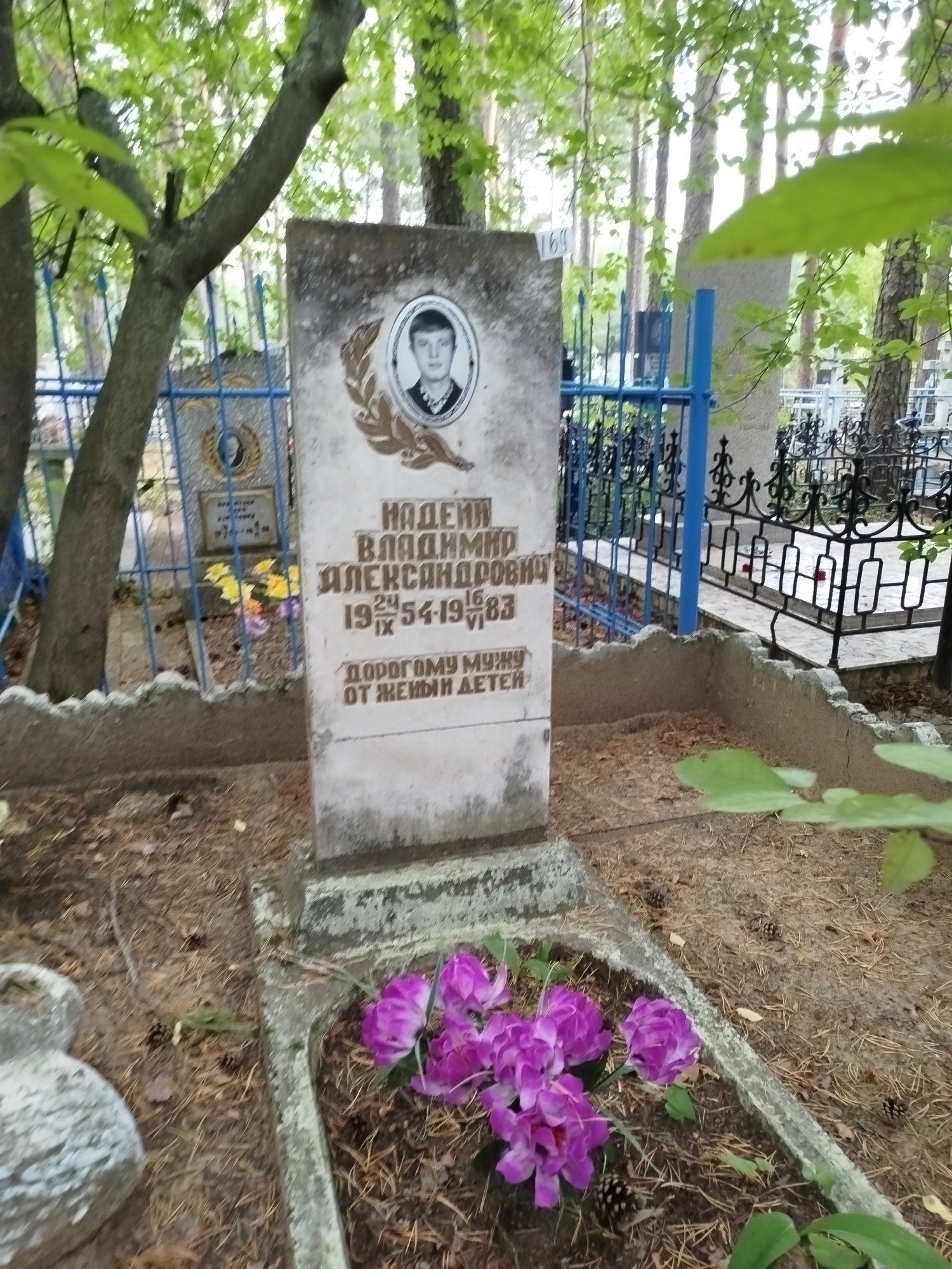 Надеин Владимир Александрович