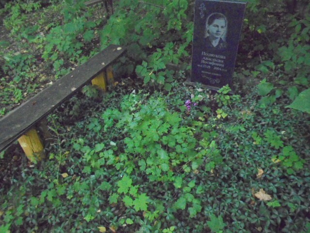 Полюхова Анастасия Иосифовна