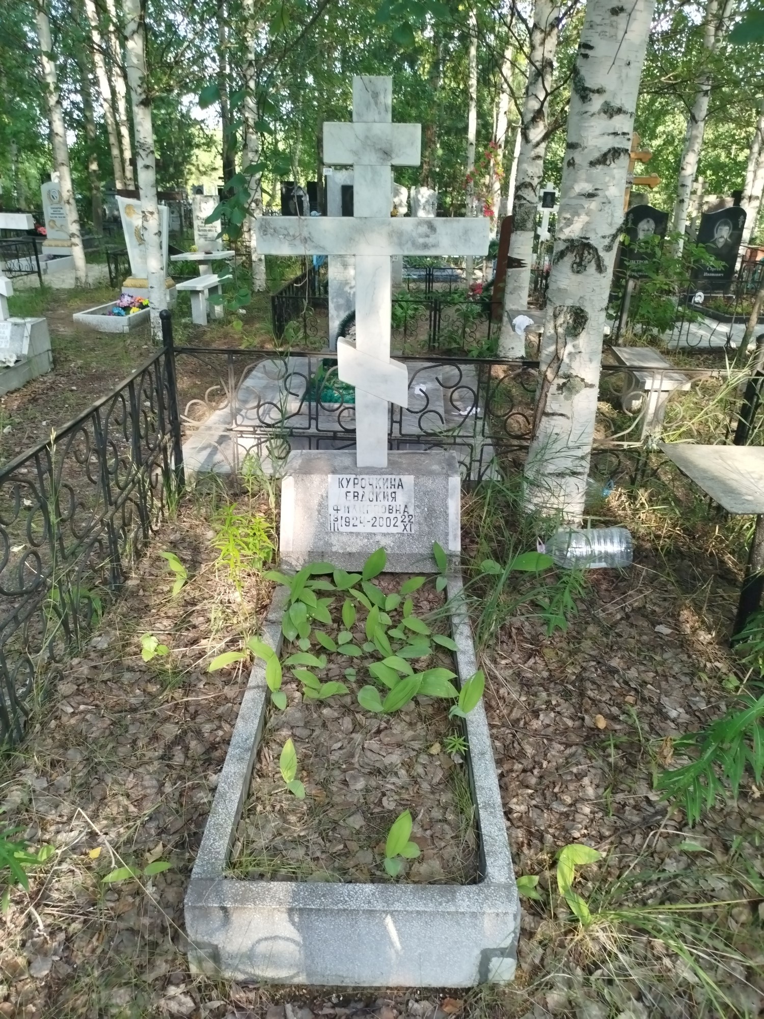 Курочкина Евдокия Филипповна