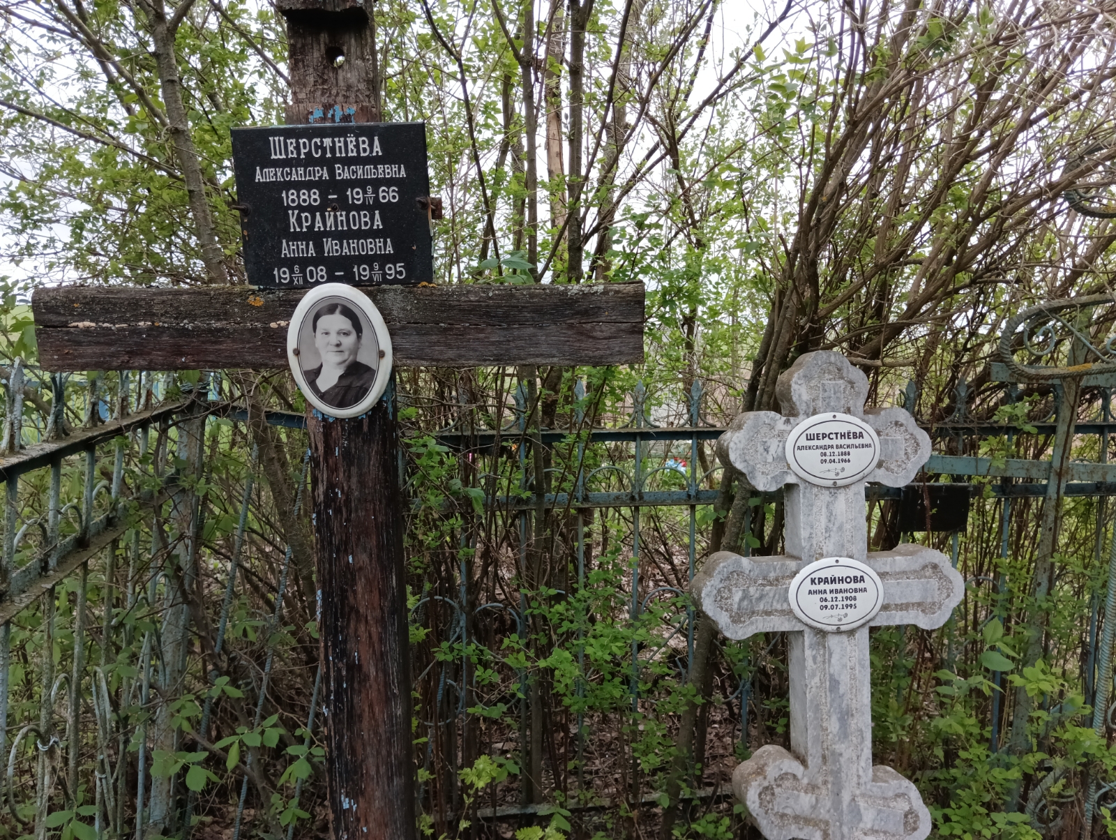 Шерстнева Александра Васильевна