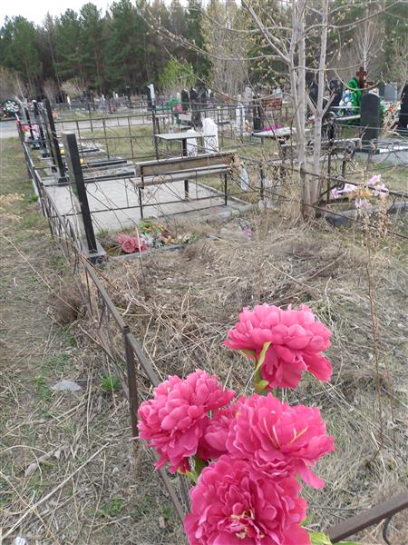 Черкашин Илья Петрович