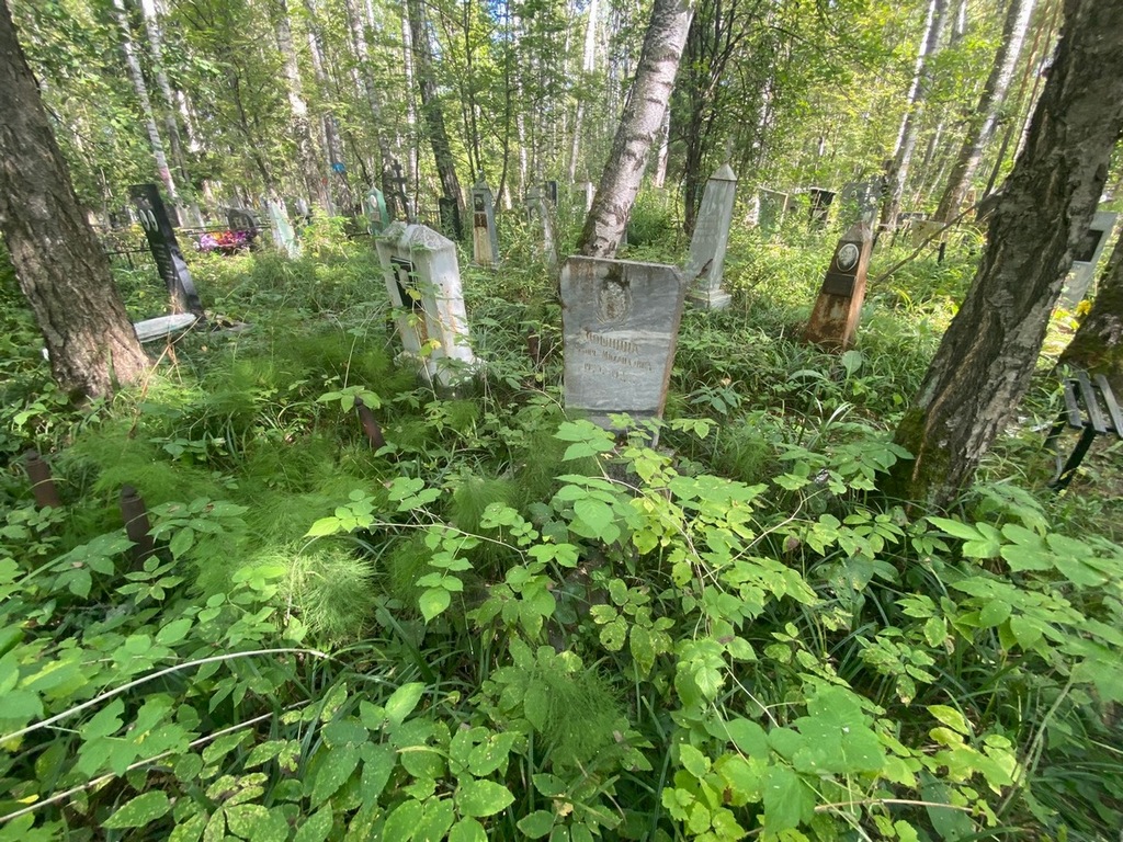 Мошнина Агния Михайловна