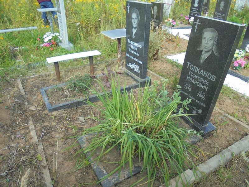 Толканов Григорий Иванович