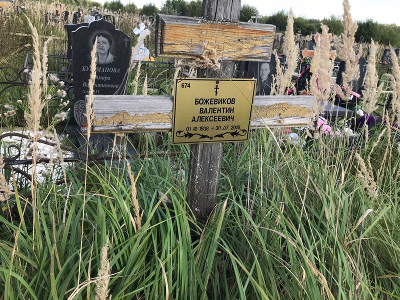 Божевиков
