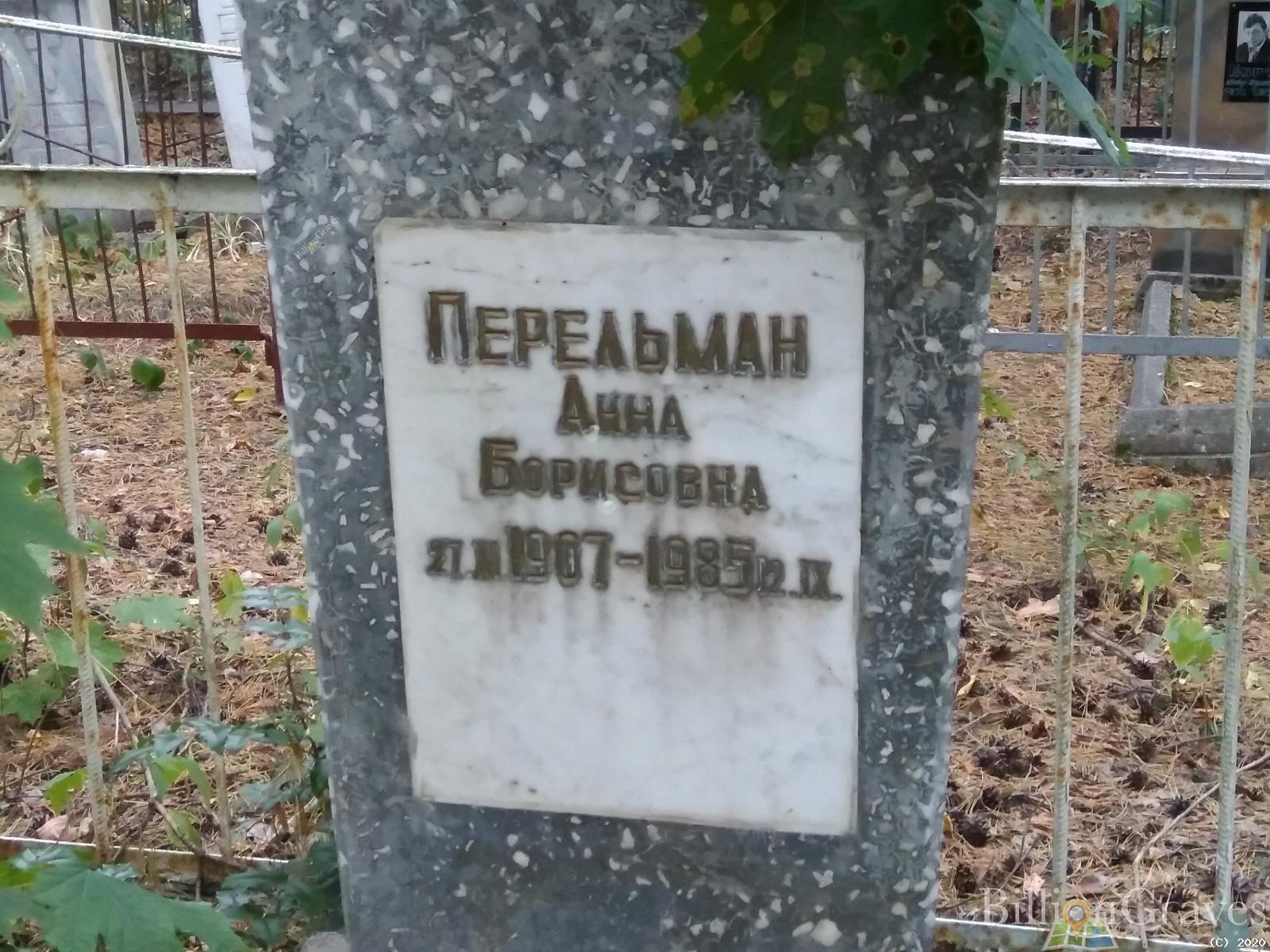 Перельман Анна Борисовна