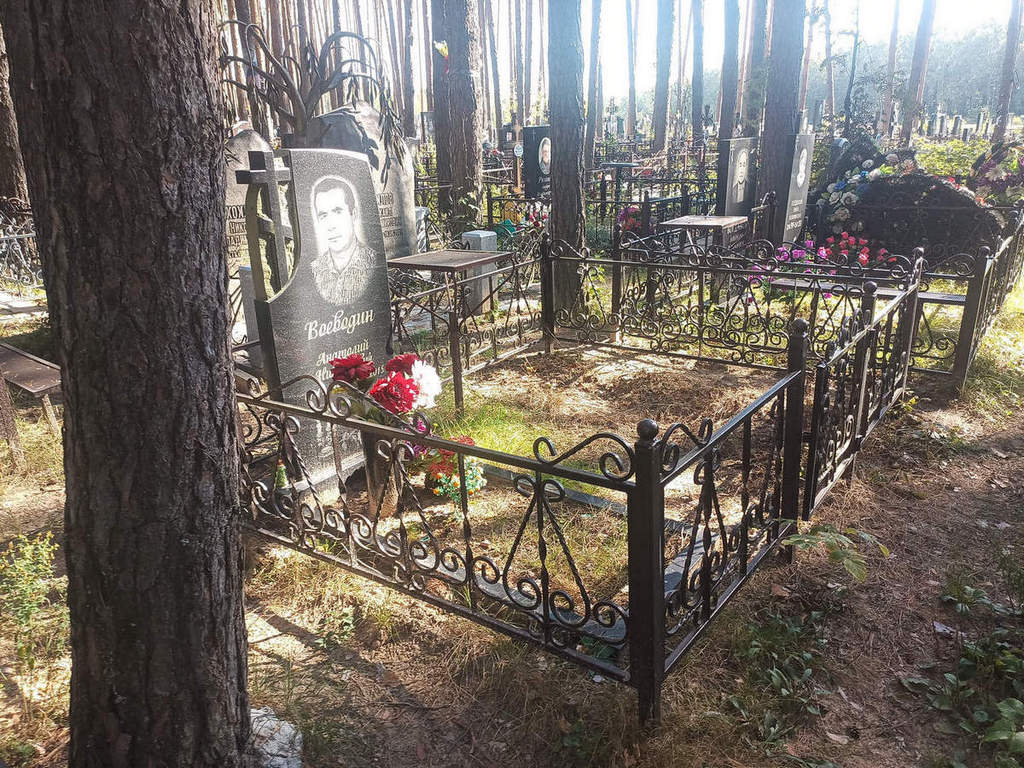 Воеводин Анатолий Николаевич