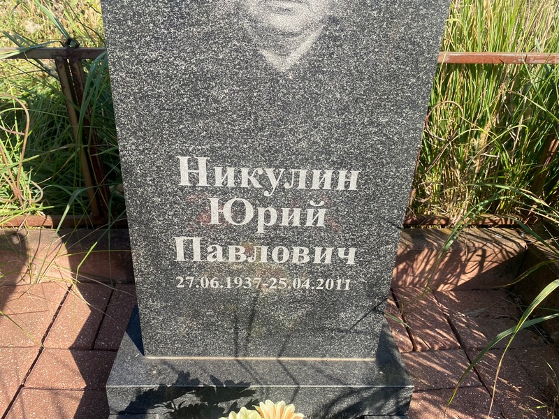 Никулин