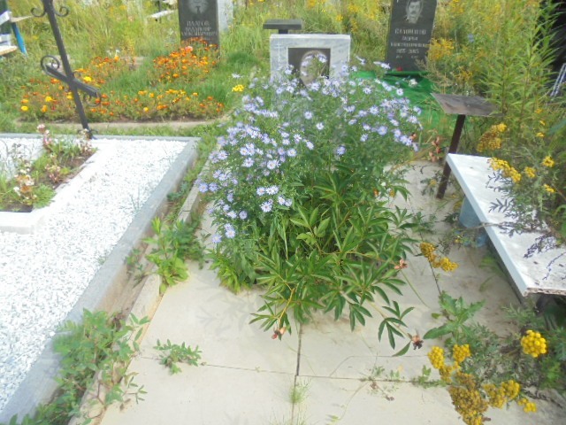 Новикова Нина Николаевна