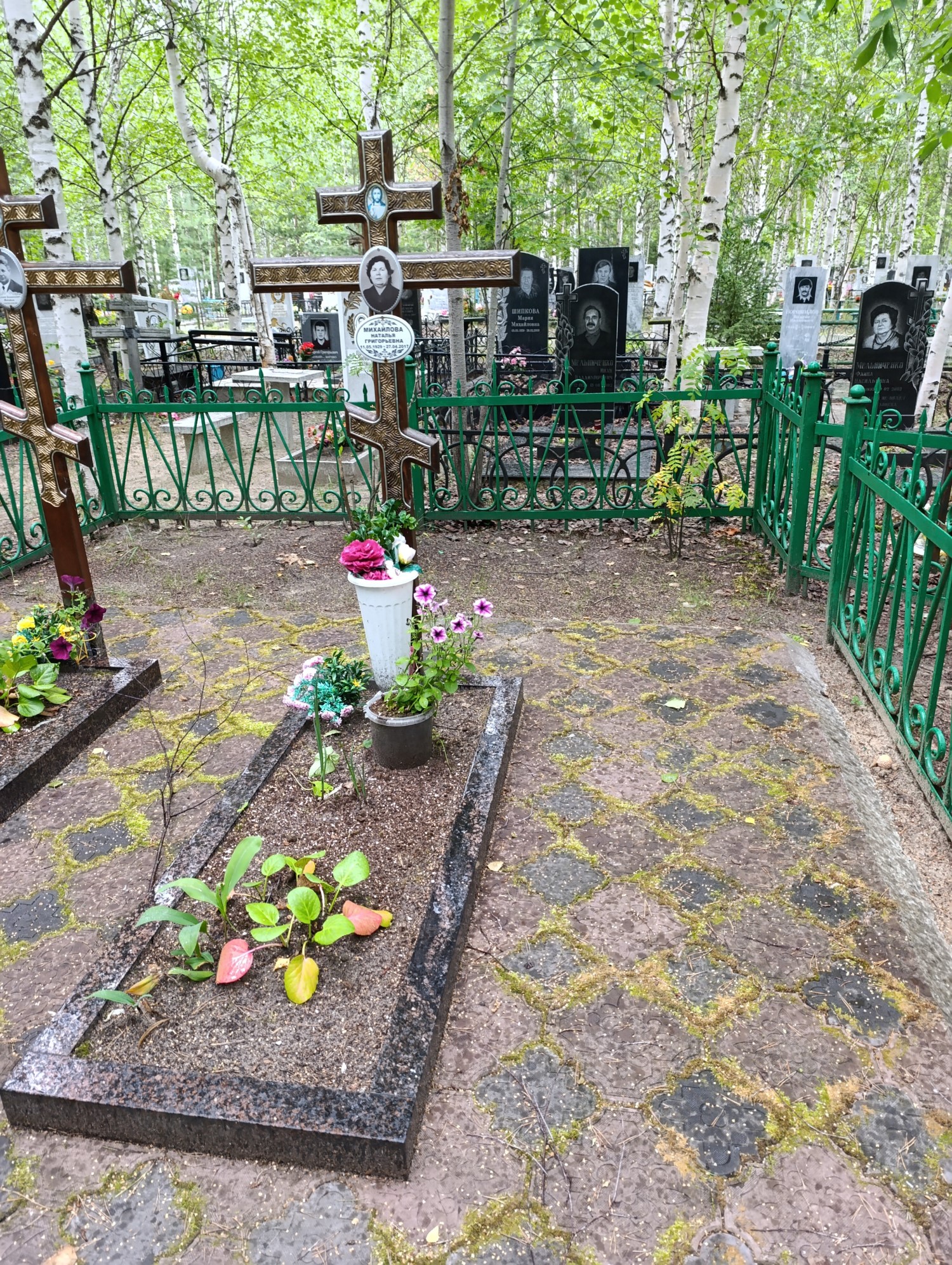 Михайлова Наталья Григорьевна