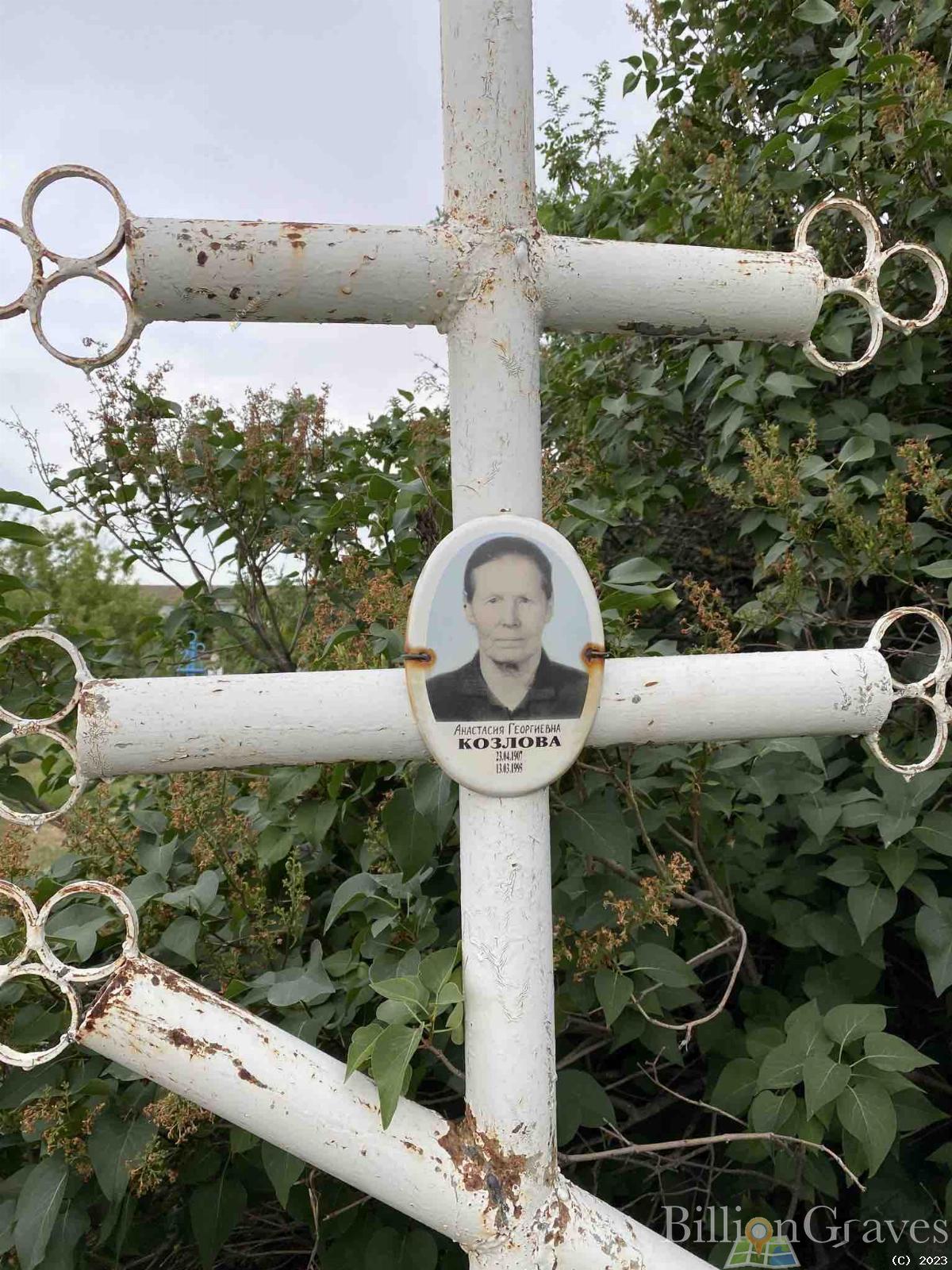 Козлова Анастасия Георгиевна