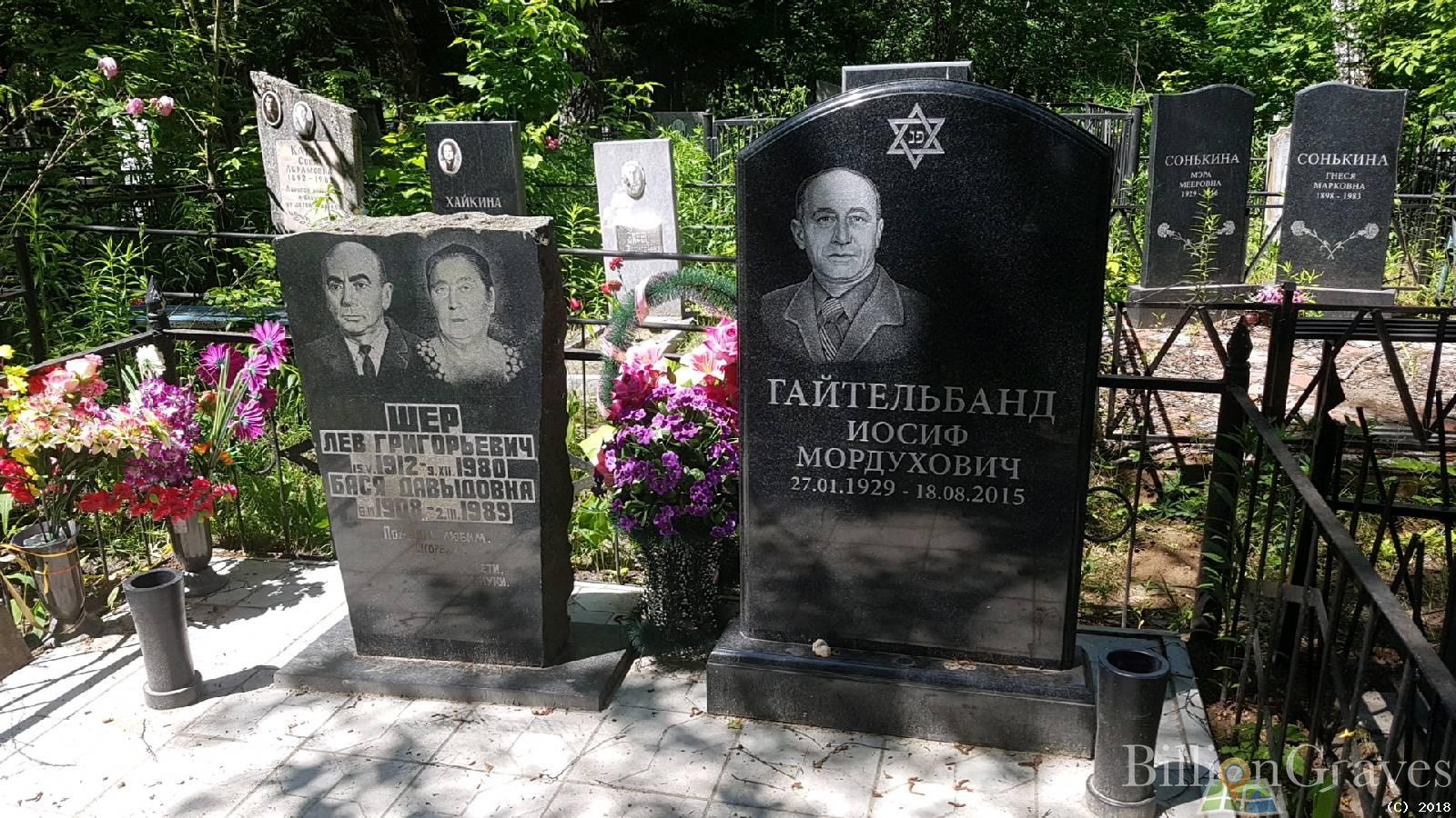 Шер Бася Давыдовна