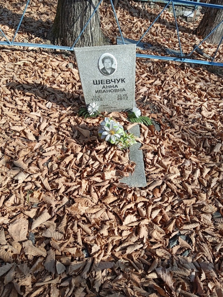Шечук Анна Ивановна