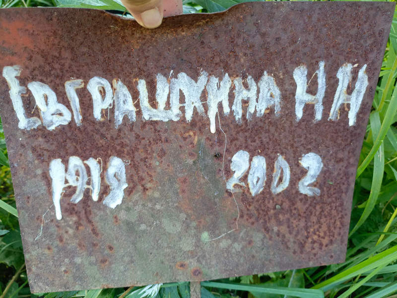 Н Евграшкина Н