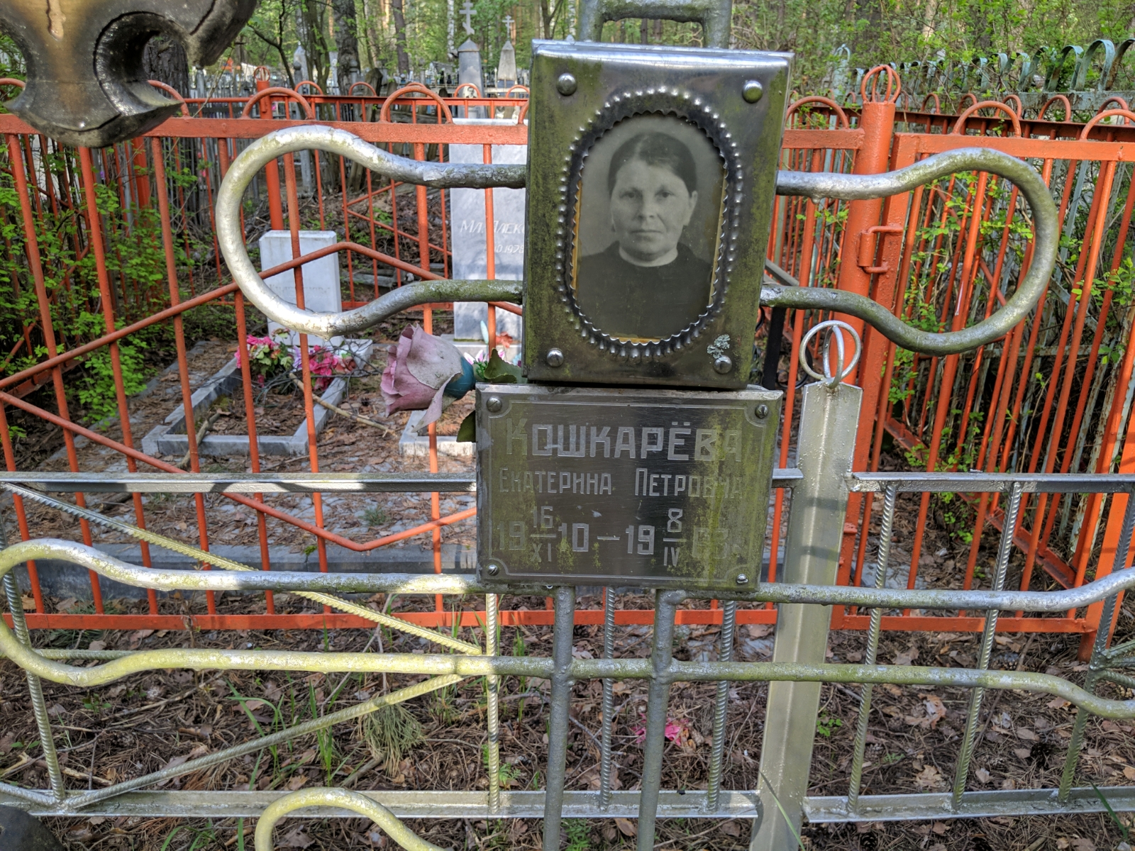 Кошкарева Екатерина Петровна