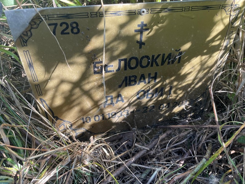 Белоокий