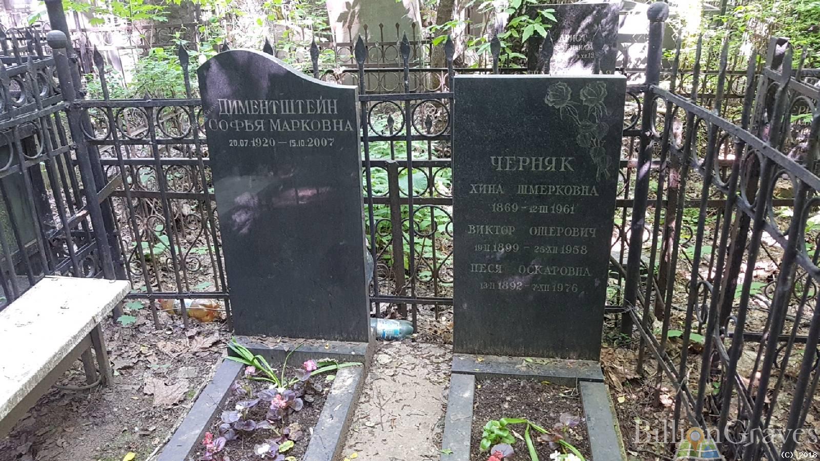 Диментштейн Софья Марковна