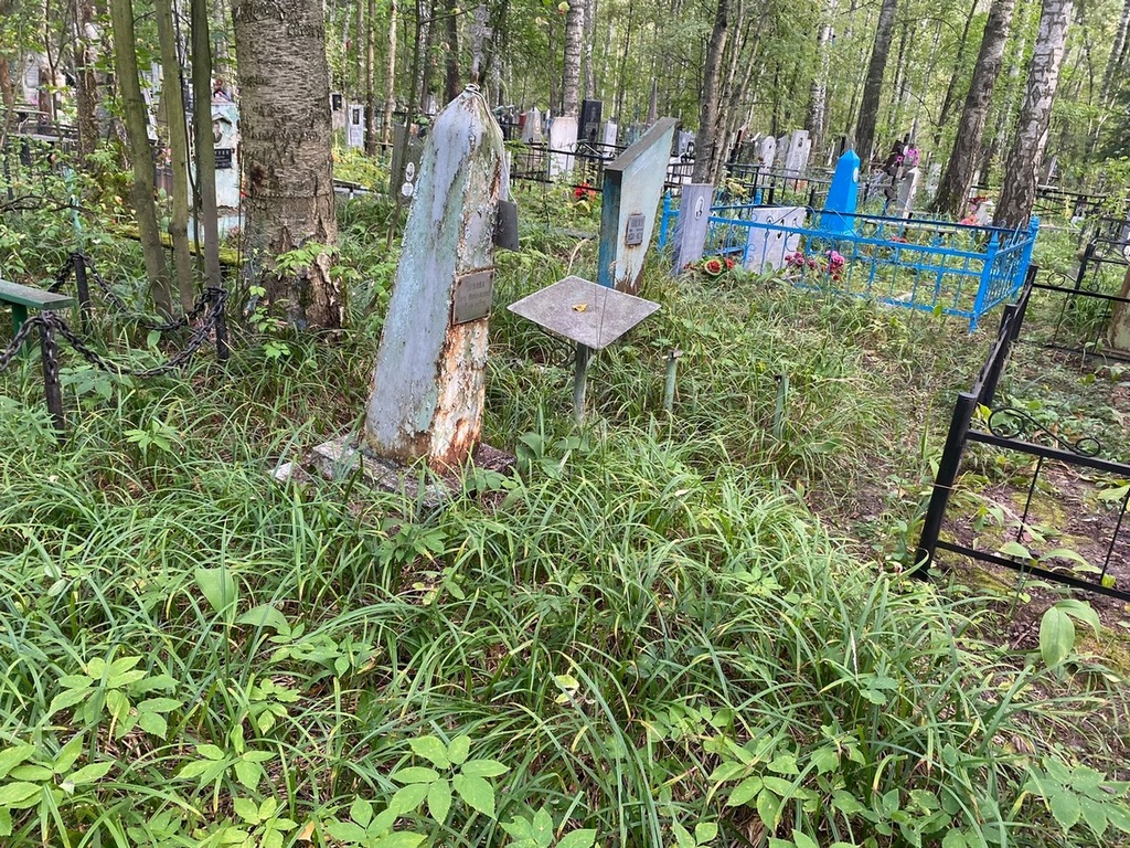 Чекова Анна Николаевна