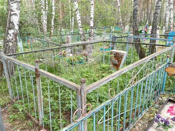 Чистяков Владимир Романович
