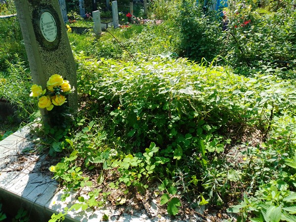 Долгорукова Мария Михайловна