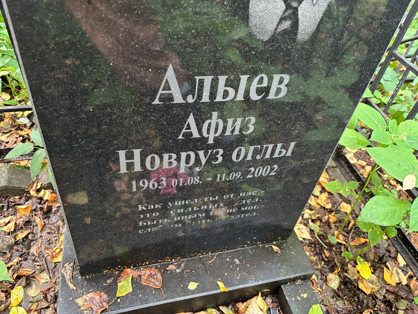 Афиз Алыев Новруз