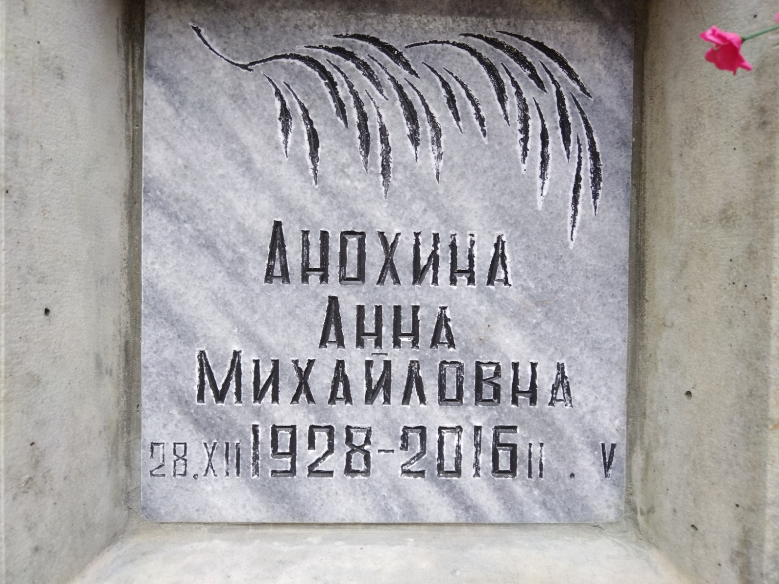 Анохина Анна Михайловна