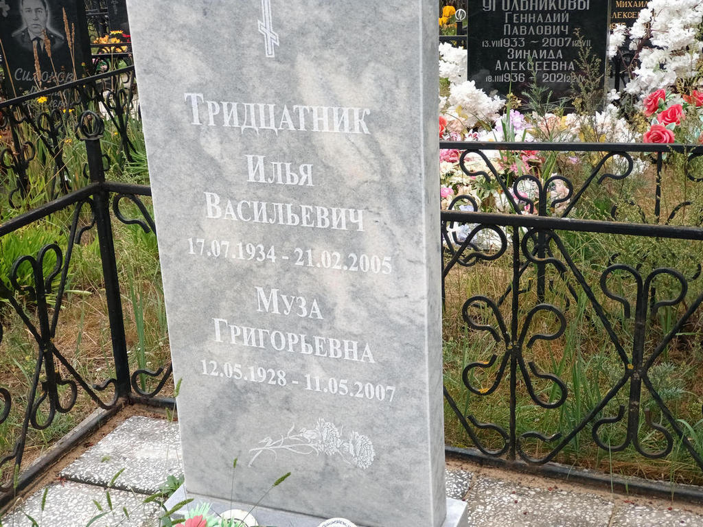 Тридцатник Илья Васильевич