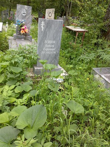 Есипев Алексей Сергеевич
