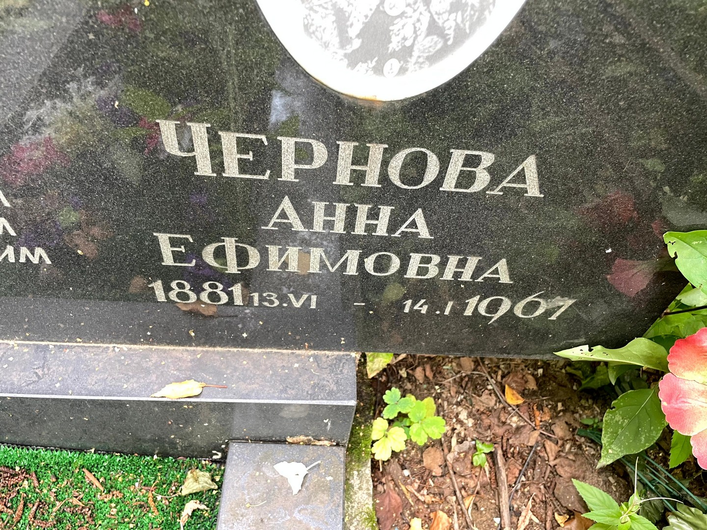 Чернова