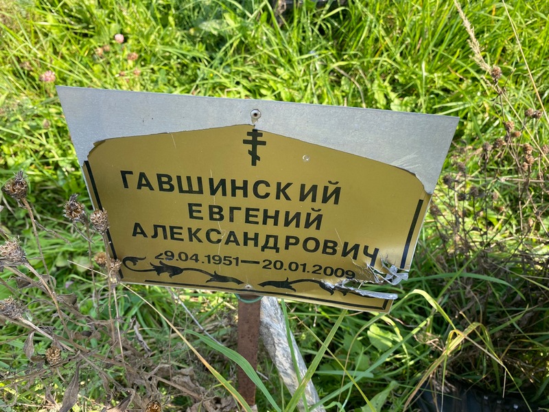 Гавшинский