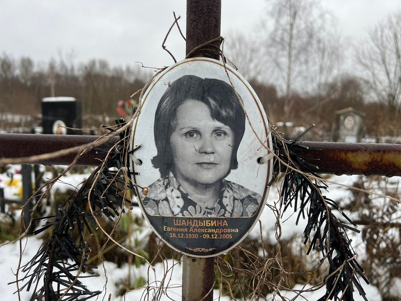 Шандыбина Евгения Александровна