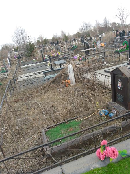 Лактионов Александр Александрович
