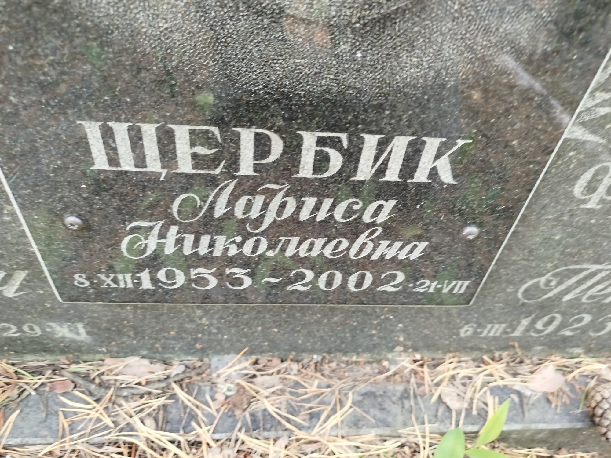 Щербик Лариса Николаевна