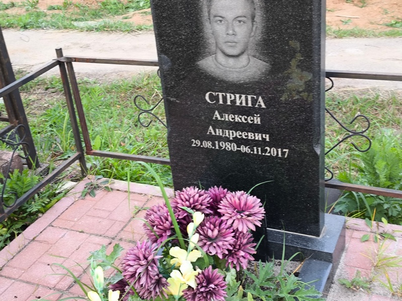 Стрига