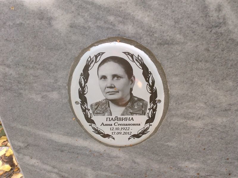 Пайвина