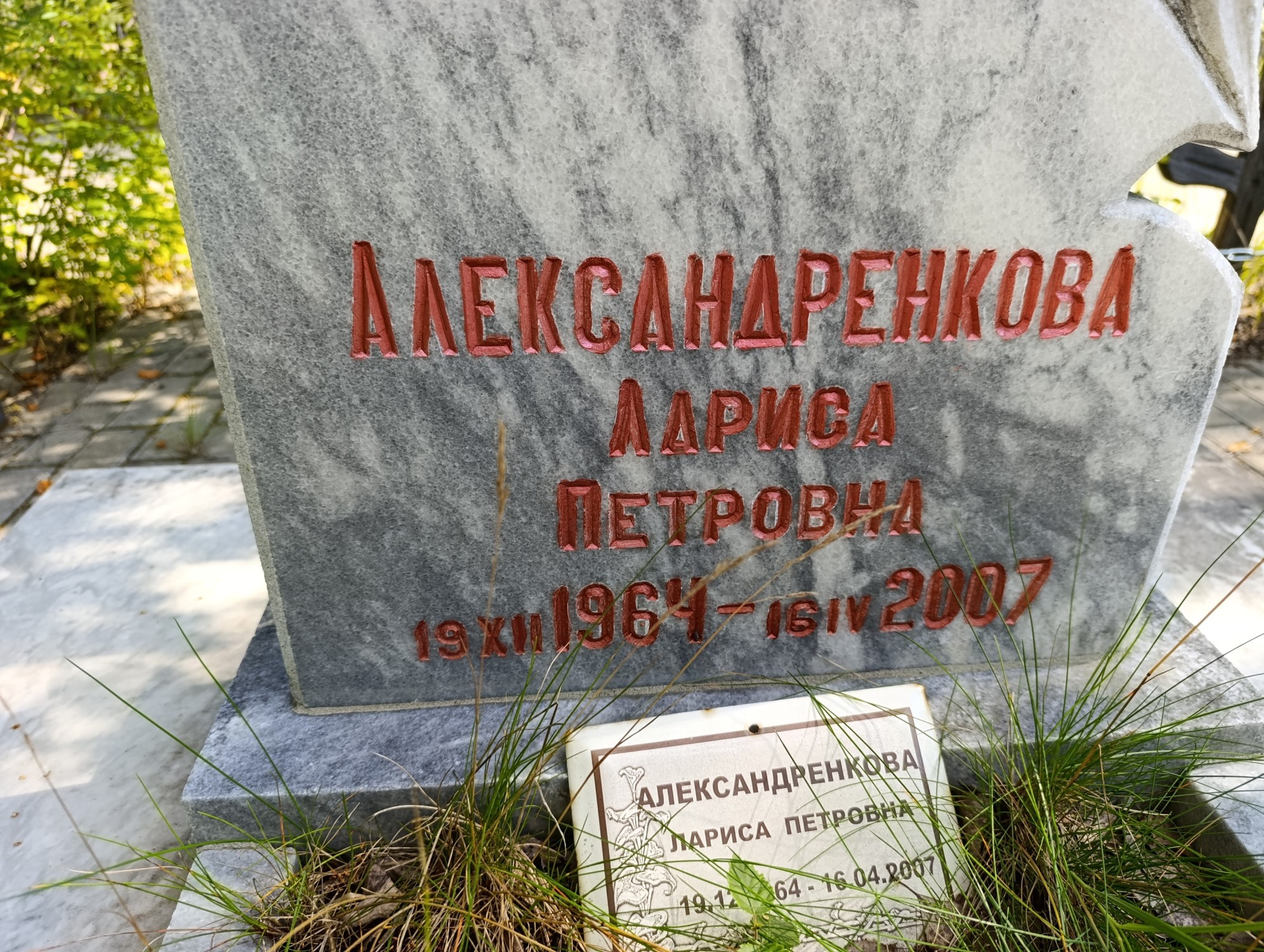 Александренкова Лариса Петровна