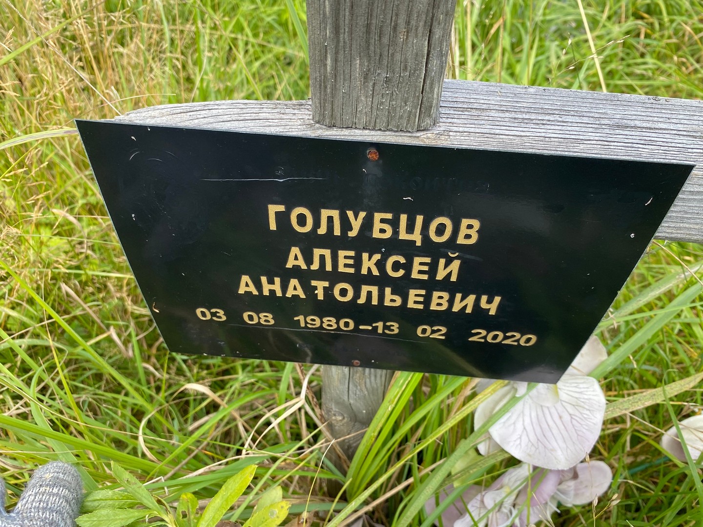Голубцов