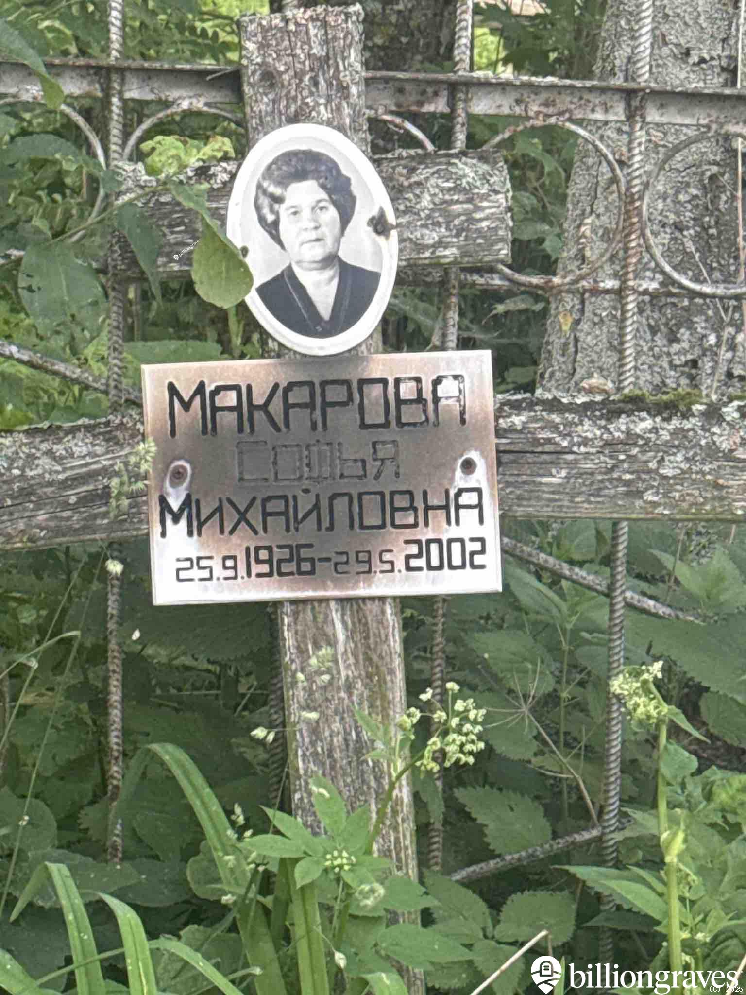 Макарова Софья Михайловна