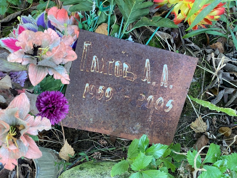 А. Платов А.