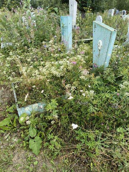 Уфимцев Николай Иванович