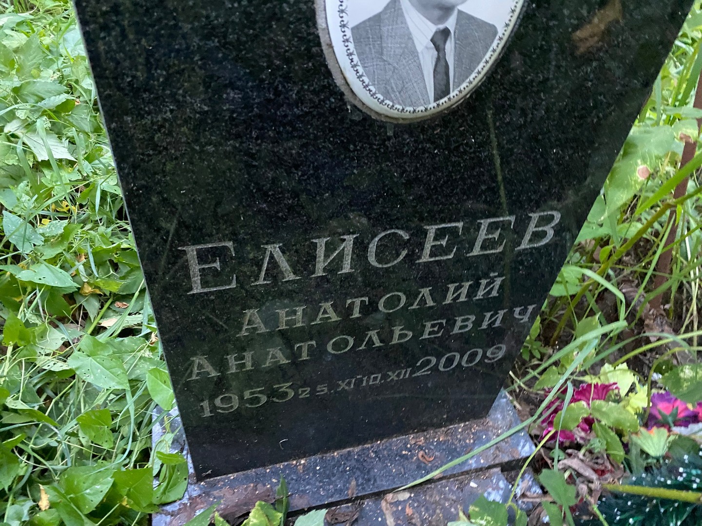Елисеев