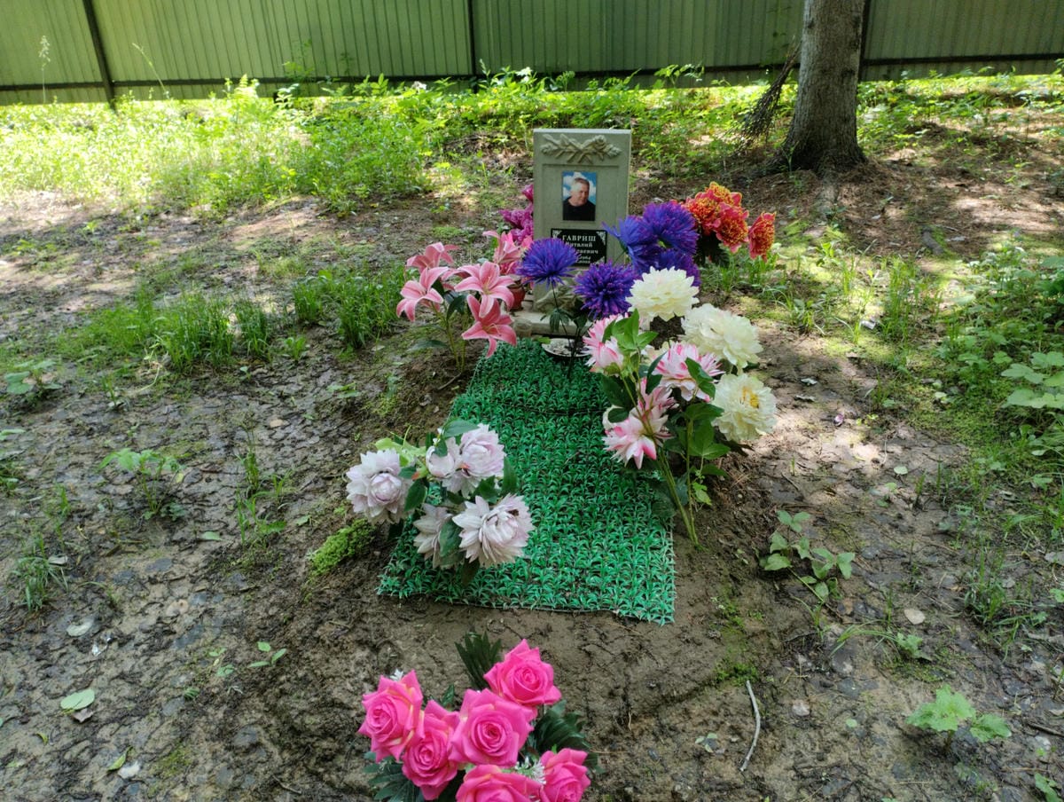 Гавриш Виталий Николаевич