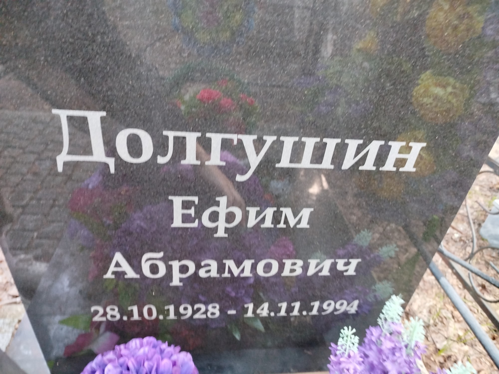 Долгушин Ефим Абрамович